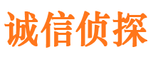 都安市私家侦探